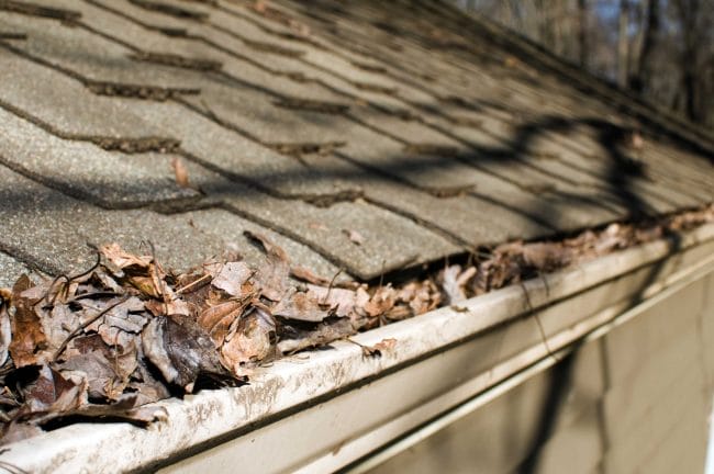 spring roof problems, spring storm damage